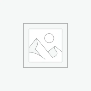 Cinnamon Roll Delight